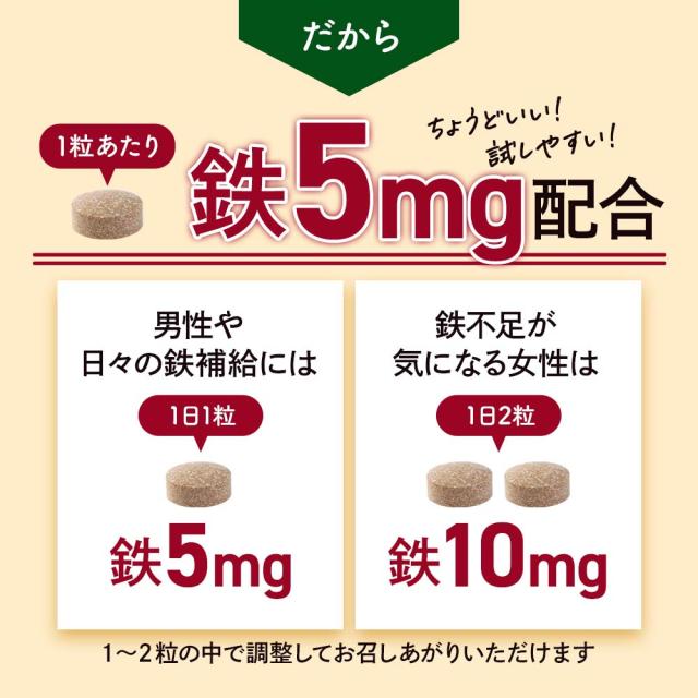 フェリチン鉄（6個セット・約6ヶ月分） 鉄 鉄分 サプリ 栄養機能食品 貯蔵鉄 オーガランド 女性 亜鉛 銅 葉酸 ビタミンB6 ビタミンB12 非ヘム鉄 小粒 1粒あたり5mg 高吸収 有機 大豆由来 ドリンクより手軽に サプリメント ポイント消化 46002_13