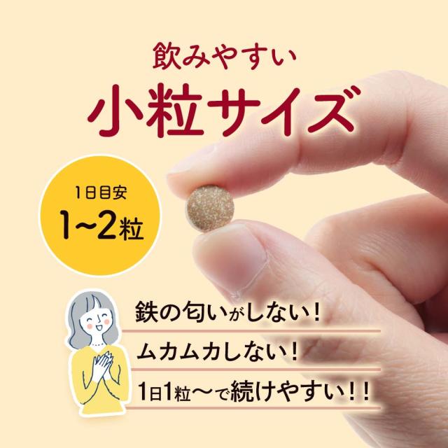 フェリチン鉄（6個セット・約6ヶ月分） 鉄 鉄分 サプリ 栄養機能食品 貯蔵鉄 オーガランド 女性 亜鉛 銅 葉酸 ビタミンB6 ビタミンB12 非ヘム鉄 小粒 1粒あたり5mg 高吸収 有機 大豆由来 ドリンクより手軽に サプリメント ポイント消化 46002_14