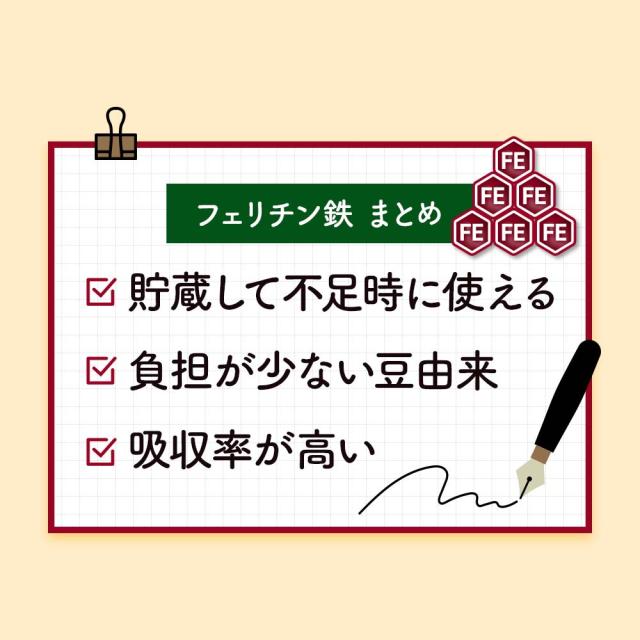 フェリチン鉄（6個セット・約6ヶ月分） 鉄 鉄分 サプリ 栄養機能食品 貯蔵鉄 オーガランド 女性 亜鉛 銅 葉酸 ビタミンB6 ビタミンB12 非ヘム鉄 小粒 1粒あたり5mg 高吸収 有機 大豆由来 ドリンクより手軽に サプリメント ポイント消化 46002_15