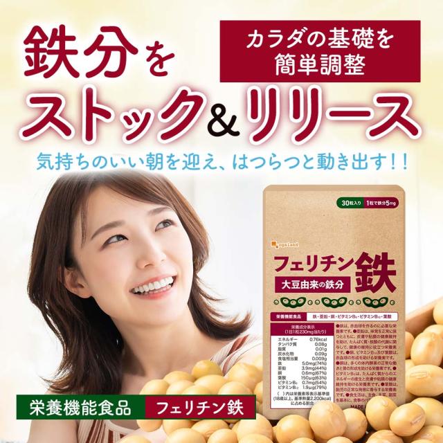 フェリチン鉄（6個セット・約6ヶ月分） 鉄 鉄分 サプリ 栄養機能食品 貯蔵鉄 オーガランド 女性 亜鉛 銅 葉酸 ビタミンB6 ビタミンB12 非ヘム鉄 小粒 1粒あたり5mg 高吸収 有機 大豆由来 ドリンクより手軽に サプリメント ポイント消化 46002_16