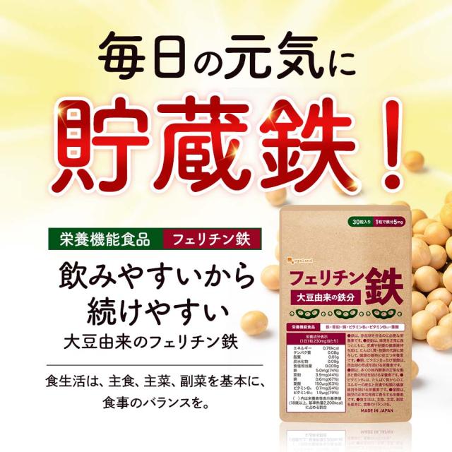 フェリチン鉄（6個セット・約6ヶ月分） 鉄 鉄分 サプリ 栄養機能食品 貯蔵鉄 オーガランド 女性 亜鉛 銅 葉酸 ビタミンB6 ビタミンB12 非ヘム鉄 小粒 1粒あたり5mg 高吸収 有機 大豆由来 ドリンクより手軽に サプリメント ポイント消化 46002_17