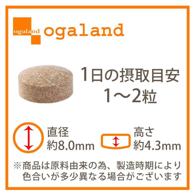 フェリチン鉄（6個セット・約6ヶ月分） 鉄 鉄分 サプリ 栄養機能食品 貯蔵鉄 オーガランド 女性 亜鉛 銅 葉酸 ビタミンB6 ビタミンB12 非ヘム鉄 小粒 1粒あたり5mg 高吸収 有機 大豆由来 ドリンクより手軽に サプリメント ポイント消化 46002_19
