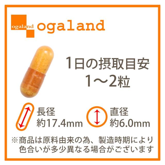 馬プラセンタ6000（約6ヶ月分）純度100% 希少 ホース 馬プラセンタエキス末 アミノ酸 ミネラル タンパク質 オールインワン 美容 健康 トリプトファン アルギニン チロシン グリシン シスチン 200mg 推奨量クリア 中高年 若々しさ 高品質 サプリ サプリメント _JB _1K 32008_19