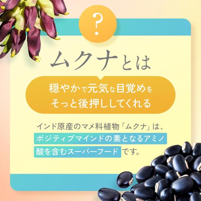 はぴねすチャージ（12個セット・約12ヶ月分） 乳酸菌 サプリメント 朝活応援 女性 サプリ ハピネス乳酸菌（R） 美容 乳酸菌 サプリ ムクナ 健康 元気 送料無料 サプリメント ポイント消化 _JH _JD _12K 52001_12