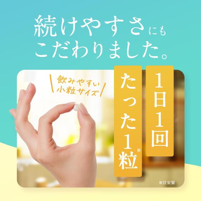 はぴねすチャージ（12個セット・約12ヶ月分） 乳酸菌 サプリメント 朝活応援 女性 サプリ ハピネス乳酸菌（R） 美容 乳酸菌 サプリ ムクナ 健康 元気 送料無料 サプリメント ポイント消化 _JH _JD _12K 52001_14