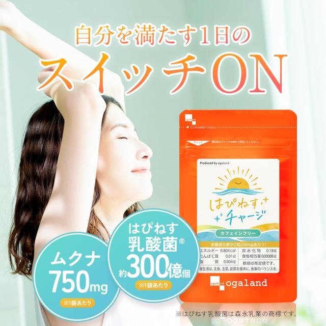 はぴねすチャージ（12個セット・約12ヶ月分） 乳酸菌 サプリメント 朝活応援 女性 サプリ ハピネス乳酸菌（R） 美容 乳酸菌 サプリ ムクナ 健康 元気 送料無料 サプリメント ポイント消化 _JH _JD _12K 52001_16