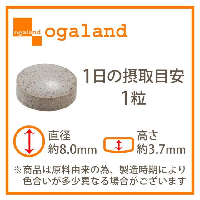 はぴねすチャージ（12個セット・約12ヶ月分） 乳酸菌 サプリメント 朝活応援 女性 サプリ ハピネス乳酸菌（R） 美容 乳酸菌 サプリ ムクナ 健康 元気 送料無料 サプリメント ポイント消化 _JH _JD _12K 52001_17