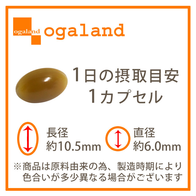 ◇3個セット◇コンブチャ（6個セット・約6ヶ月分） サプリメント 酵素