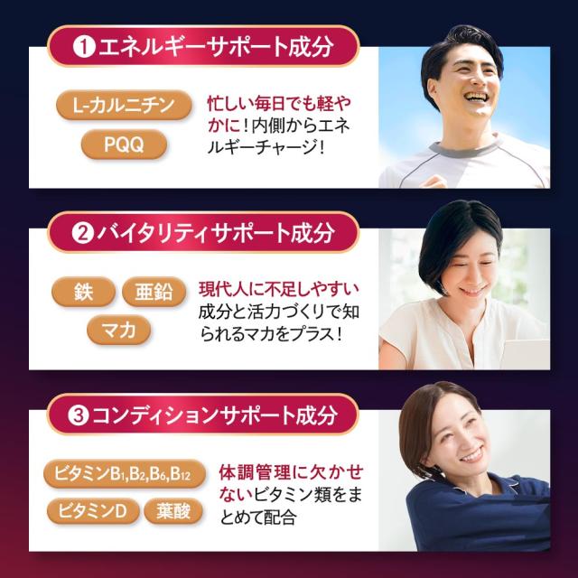 還元型コエンザイムQ10 3000（6個セット・約6ヶ月分） 還元型 PQQ ダイエット 送料無料 エネルギー pqq サプリメント Lカルニチン や αリポ酸 との相性◎ 美容 健康サプリ カネカ カネカ社製 初心者におすすめ 基礎サプリ 葉酸 ピロロキノリンキノン ポイント消化 19046_13