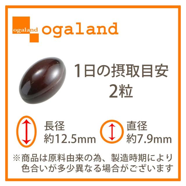 還元型コエンザイムQ10 3000（6個セット・約6ヶ月分） 還元型 PQQ ダイエット 送料無料 エネルギー pqq サプリメント Lカルニチン や αリポ酸 との相性◎ 美容 健康サプリ カネカ カネカ社製 初心者におすすめ 基礎サプリ 葉酸 ピロロキノリンキノン ポイント消化 19046_16