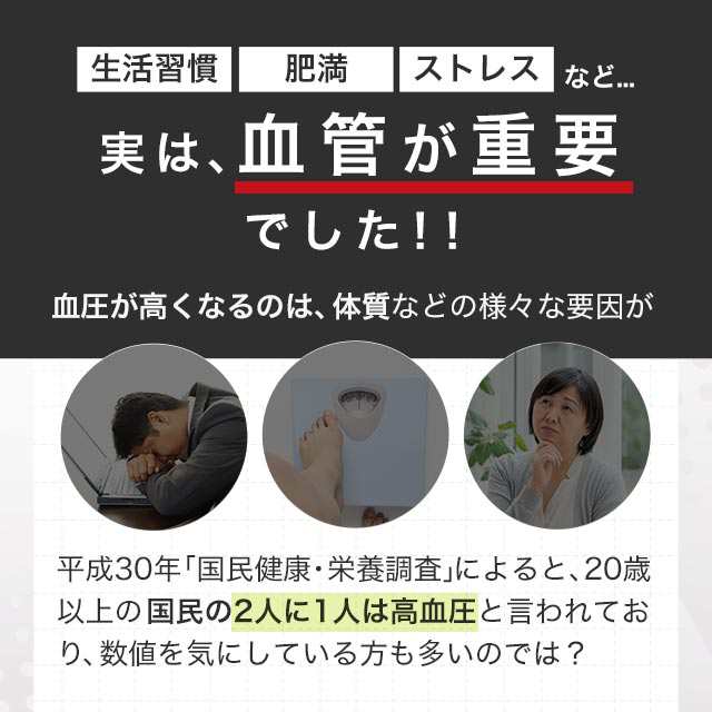 新発売】 血管と血圧（約6ヶ月分）機能性表示食品 １日１錠 血圧 サプリ サプリメント 血管 柔軟性 高めの 血圧 低下 GABA ギャバ  カツの通販はau PAY マーケット - サプリメント専門店 -ogaland-