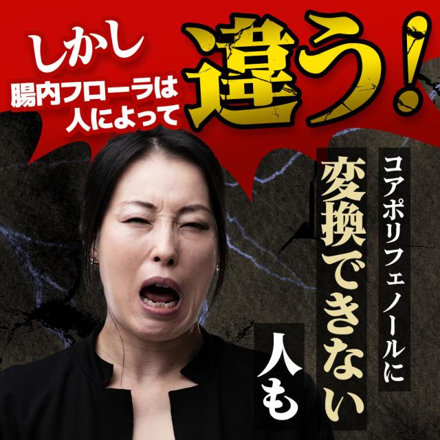 【機能性表示食品】LDL習慣（6個セット・約6ヶ月分）コレステロール 下げる サプリ LDL 機能性表示食品 サプリメント 送料無料 悪玉コレステロール サプリ コアポリフェノール オーガランド HMPA 健康 米ぬか 脂質 ポリフェノール プロピオン酸 _JH _6K ポイント消化 11099_7