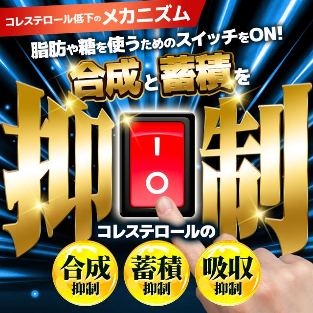 【機能性表示食品】LDL習慣（6個セット・約6ヶ月分）コレステロール 下げる サプリ LDL 機能性表示食品 サプリメント 送料無料 悪玉コレステロール サプリ コアポリフェノール オーガランド HMPA 健康 米ぬか 脂質 ポリフェノール プロピオン酸 _JH _6K ポイント消化 11099_11