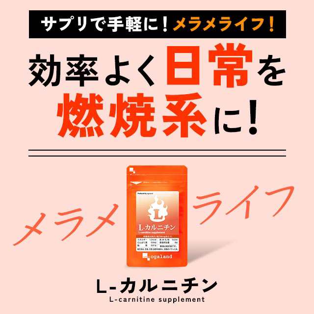 Ｌ-カルニチン（約1ヶ月分） ダイエット 健康ケア カルチニン アミノ酸 サポート 燃焼系_JD _1K 11046の通販はau PAY マーケット  - サプリメント専門店 -ogaland-