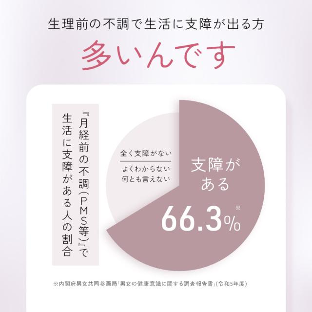 ルナタイム（約6ヶ月分） 生理前 月経前 睡眠 フェムケア サプリ ラフマ GABA ヘム鉄 鉄分 ギャバ 送料無料 サプリメント ポイント消化 _JH _JD _6K  29010_5