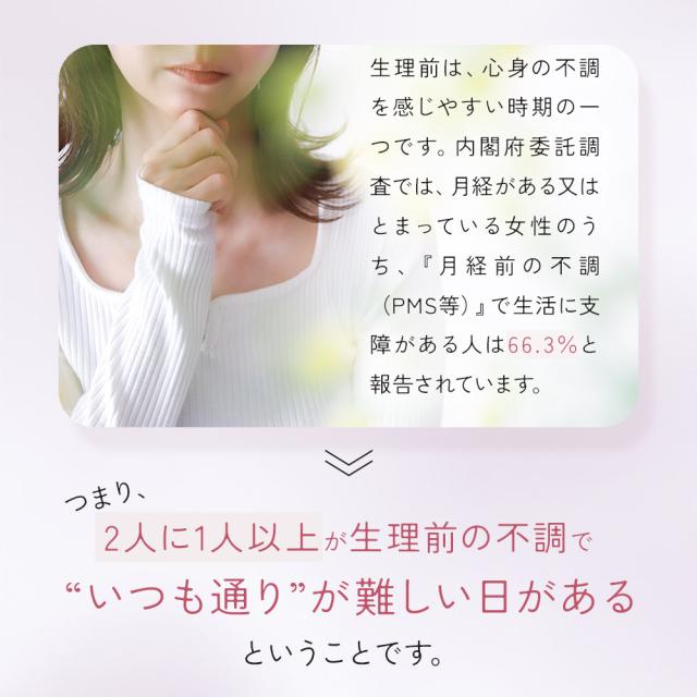 ルナタイム（約6ヶ月分） 生理前 月経前 睡眠 フェムケア サプリ ラフマ GABA ヘム鉄 鉄分 ギャバ 送料無料 サプリメント ポイント消化 _JH _JD _6K  29010_6