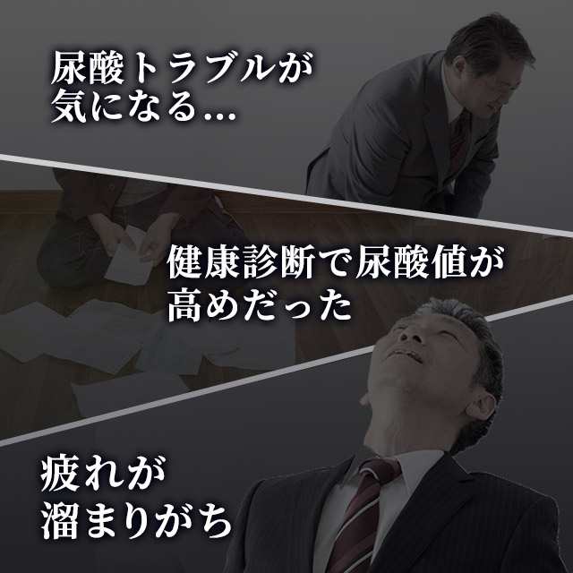 機能性表示食品 ルテオリン（12個セット・約1年分）サプリメント 尿酸値 が高めの方の 尿酸値 を下げる _JH _12K  19035の通販は