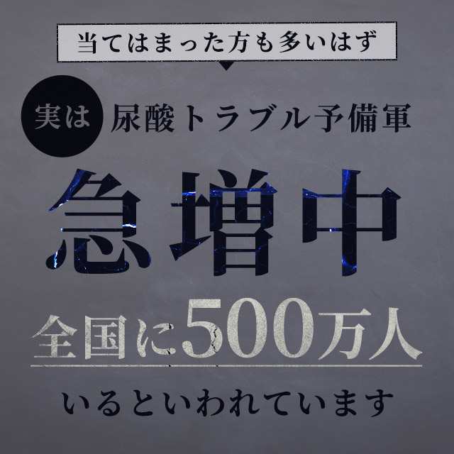 機能性表示食品 ルテオリン（12個セット・約1年分）サプリメント 尿酸値 が高めの方の 尿酸値 を下げる _JH _12K  19035の通販は