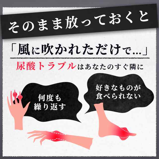 機能性表示食品 ルテオリン（12個セット・約1年分）サプリメント 尿酸値 が高めの方の 尿酸値 を下げる _JH _12K  19035の通販は