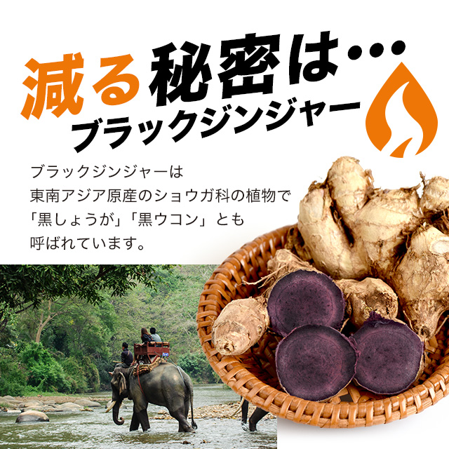 メタノン (約6ヶ月分) 機能性表示食品 ブラックジンジャー 1粒 でOK サプリ サプリメント 健康 ダイエット ダイエットサプリ 黒しょうが 送料無料 黒生姜 黒ウコン ポリメトキシフラボン 1日1粒 カルニチン ガルシニア ビタミンBビタミンB6 _6K 29005_7
