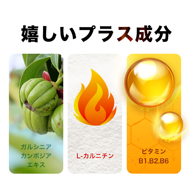 メタノン (約6ヶ月分) 機能性表示食品 ブラックジンジャー 1粒 でOK サプリ サプリメント 健康 ダイエット ダイエットサプリ 黒しょうが 送料無料 黒生姜 黒ウコン ポリメトキシフラボン 1日1粒 カルニチン ガルシニア ビタミンBビタミンB6 _6K 29005_10