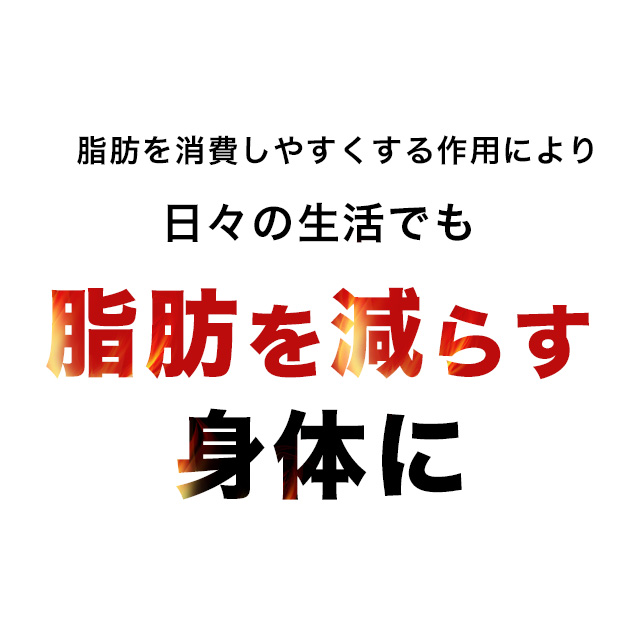 メタノン (約6ヶ月分) 機能性表示食品 ブラックジンジャー 1粒 でOK サプリ サプリメント 健康 ダイエット ダイエットサプリ 黒しょうが 送料無料 黒生姜 黒ウコン ポリメトキシフラボン 1日1粒 カルニチン ガルシニア ビタミンBビタミンB6 _6K 29005_11