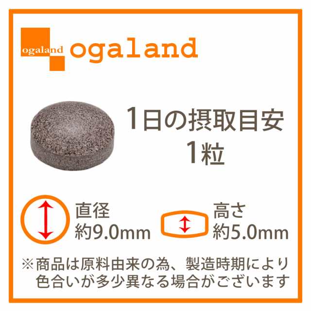 メタノン (約1ヶ月分) 機能性表示食品 ブラックジンジャー 1粒 でOK サプリ サプリメント ダイエット ダイエットサプリ 黒しょうが 送料