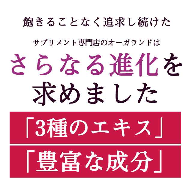 ブルーベリー サプリ （約3ヶ月分） 送料無料 サプリメント ビルベリー ポリフェノール アントシアニン カシス アイブライトエキス ビタの通販はau  PAY マーケット - サプリメント専門店 -ogaland-