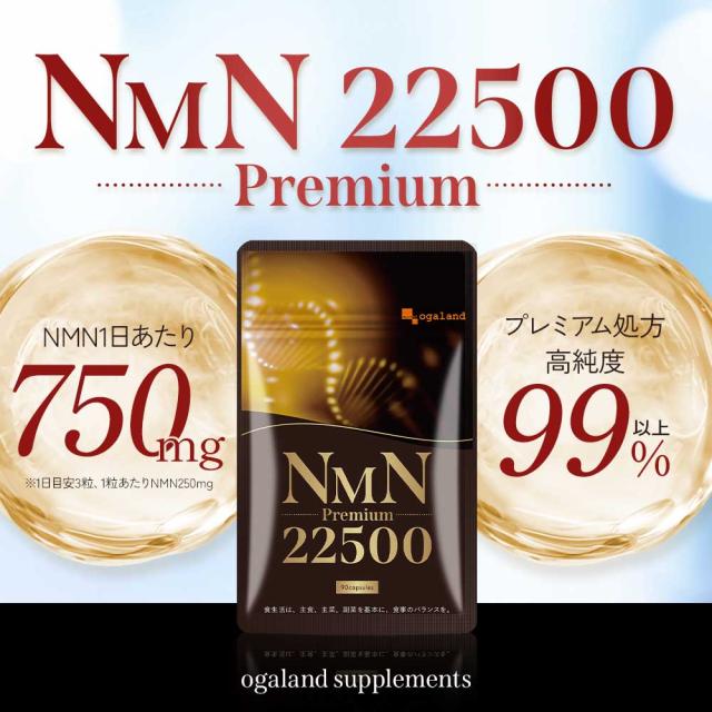 NMN 2個セット NMN エヌエムエヌ サプリメント 漢方NMN＋ 2袋セット 冬虫夏草