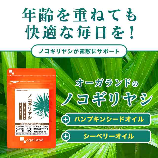 ◆大容量◆ノコギリヤシ(4個セット・約1年分) トイレ生活習慣 ボリューム ソーパルメット セレノア 亜鉛 サプリメント _JH _12K _MEN  25006の通販は