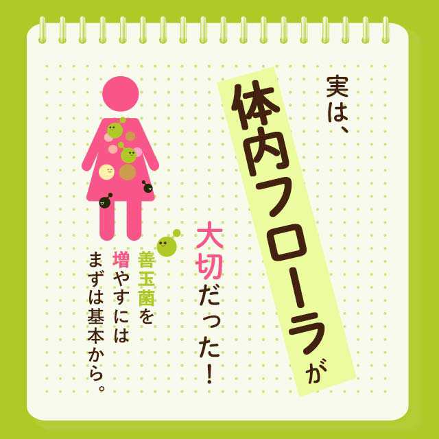 酪酸菌（約1ヶ月分） サプリメント ダイエット 悪玉菌 善玉菌 乳酸菌 ビフィズス菌 乳酸菌 健康 お通じ_JH _JD _1K  29002の通販はau PAY マーケット - サプリメント専門店 -ogaland-