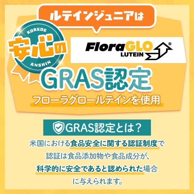 ルテインジュニア （約12ヶ月分） 送料無料 子供用 サプリ キッズ サプリメント ブルーベリー味 野菜 栄養 アントシアニン 目薬の木 ビルベリー デジタルケア ブルーライト 自然由来 DHA 乳酸菌 フローラグロールテイン オーガランド 子供 こども 目 43001_8
