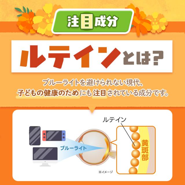 ルテインジュニア （約12ヶ月分） 送料無料 子供用 サプリ キッズ サプリメント ブルーベリー味 野菜 栄養 アントシアニン 目薬の木 ビルベリー デジタルケア ブルーライト 自然由来 DHA 乳酸菌 フローラグロールテイン オーガランド 子供 こども 目 43001_9
