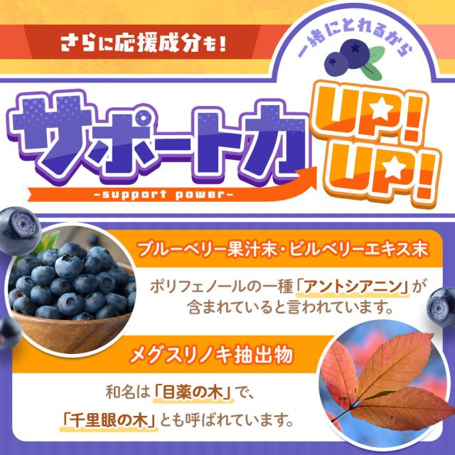 ルテインジュニア （約12ヶ月分） 送料無料 子供用 サプリ キッズ サプリメント ブルーベリー味 野菜 栄養 アントシアニン 目薬の木 ビルベリー デジタルケア ブルーライト 自然由来 DHA 乳酸菌 フローラグロールテイン オーガランド 子供 こども 目 43001_12