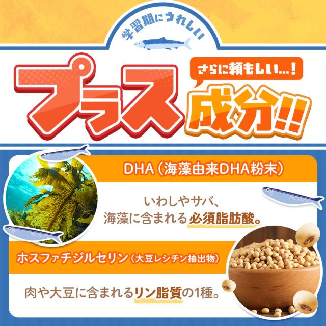 ルテインジュニア （約12ヶ月分） 送料無料 子供用 サプリ キッズ サプリメント ブルーベリー味 野菜 栄養 アントシアニン 目薬の木 ビルベリー デジタルケア ブルーライト 自然由来 DHA 乳酸菌 フローラグロールテイン オーガランド 子供 こども 目 43001_13