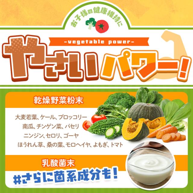 ルテインジュニア （約12ヶ月分） 送料無料 子供用 サプリ キッズ サプリメント ブルーベリー味 野菜 栄養 アントシアニン 目薬の木 ビルベリー デジタルケア ブルーライト 自然由来 DHA 乳酸菌 フローラグロールテイン オーガランド 子供 こども 目 43001_14