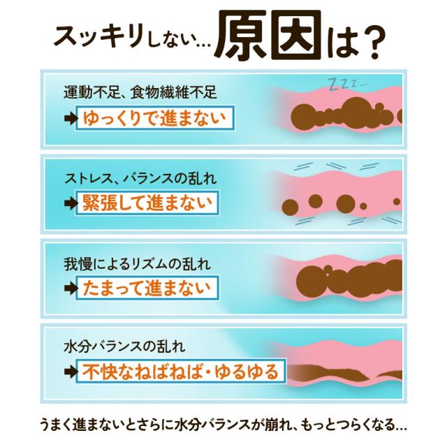 センナ茎&キャンドルブッシュ（6個セット・約6ヶ月分） すっきり どっさり 還元麦芽糖 健康 酸化マグネシウム サプリ おすすめ 美容 ダイエット _JH _JD _1K ポイント消化 26006_3