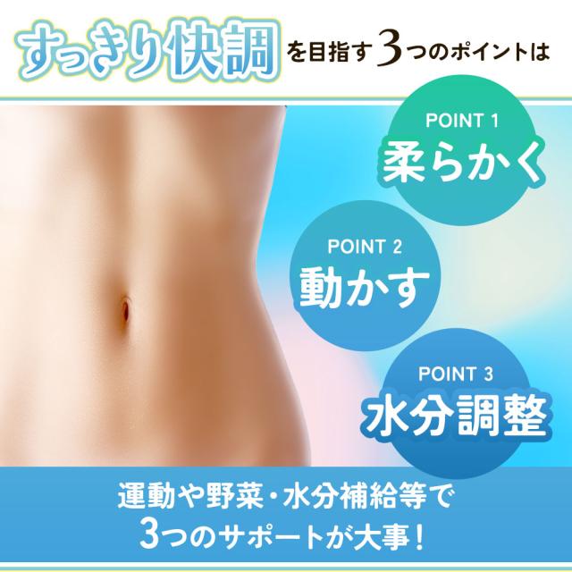 センナ茎&キャンドルブッシュ（6個セット・約6ヶ月分） すっきり どっさり 還元麦芽糖 健康 酸化マグネシウム サプリ おすすめ 美容 ダイエット _JH _JD _1K ポイント消化 26006_4