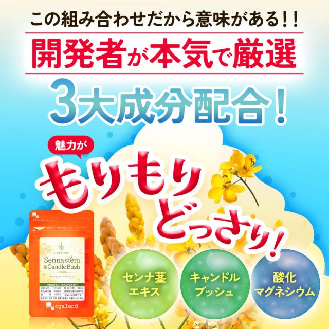 センナ茎&キャンドルブッシュ（6個セット・約6ヶ月分） すっきり どっさり 還元麦芽糖 健康 酸化マグネシウム サプリ おすすめ 美容 ダイエット _JH _JD _1K ポイント消化 26006_7