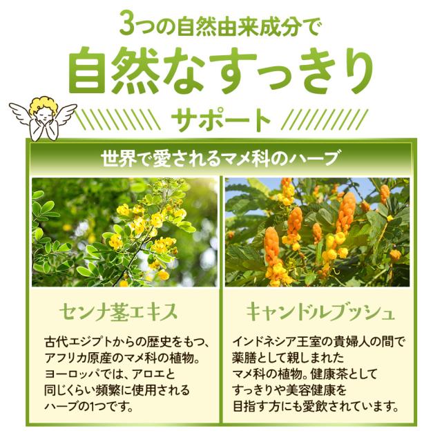 センナ茎&キャンドルブッシュ（6個セット・約6ヶ月分） すっきり どっさり 還元麦芽糖 健康 酸化マグネシウム サプリ おすすめ 美容 ダイエット _JH _JD _1K ポイント消化 26006_9