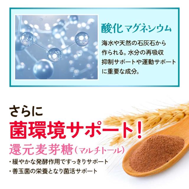 センナ茎&キャンドルブッシュ（6個セット・約6ヶ月分） すっきり どっさり 還元麦芽糖 健康 酸化マグネシウム サプリ おすすめ 美容 ダイエット _JH _JD _1K ポイント消化 26006_10