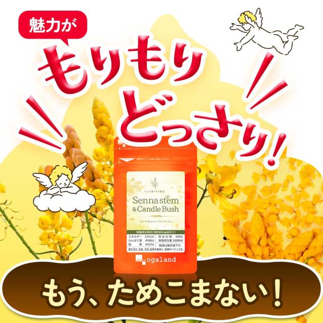 センナ茎&キャンドルブッシュ（6個セット・約6ヶ月分） すっきり どっさり 還元麦芽糖 健康 酸化マグネシウム サプリ おすすめ 美容 ダイエット _JH _JD _1K ポイント消化 26006_11