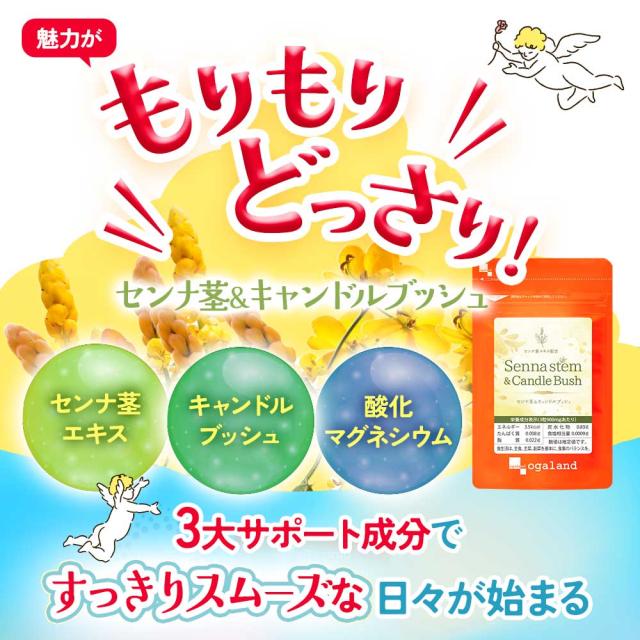 センナ茎&キャンドルブッシュ（6個セット・約6ヶ月分） すっきり どっさり 還元麦芽糖 健康 酸化マグネシウム サプリ おすすめ 美容 ダイエット _JH _JD _1K ポイント消化 26006_16