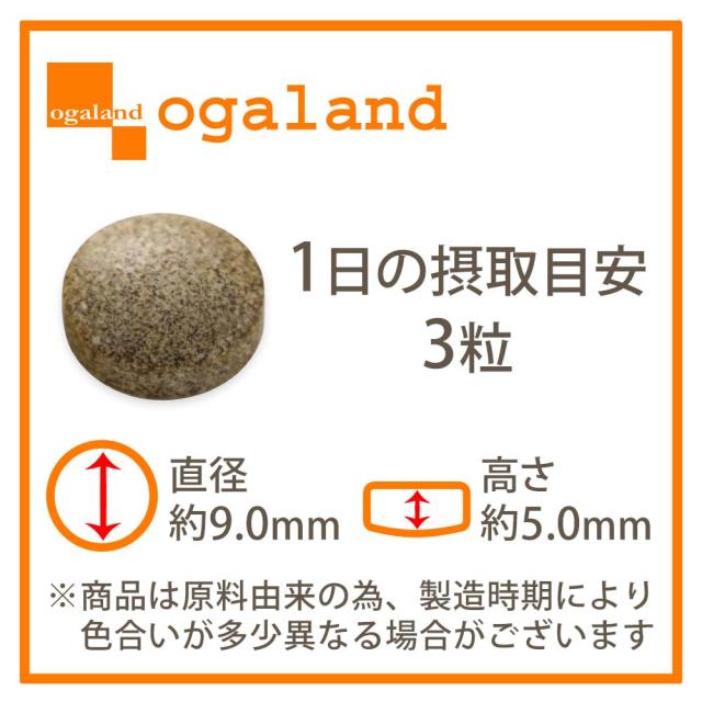 センナ茎&キャンドルブッシュ（6個セット・約6ヶ月分） すっきり どっさり 還元麦芽糖 健康 酸化マグネシウム サプリ おすすめ 美容 ダイエット _JH _JD _1K ポイント消化 26006_17