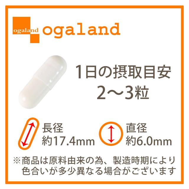 白玉姫（約6ヶ月分） 白玉 サプリ 飲む 白玉美容 液 白玉美容 サプリ メーカー推奨量 酵母エキス末 システインペプチド グルタミン酸 グリシン システイン サプリメント 女性 グルタチオン（酵母由来） オーガランド 送料無料 健康 美容 国内製造 ポイント消化 19044_18