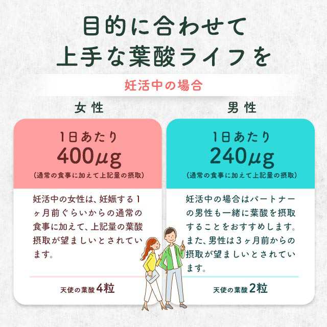 市場 葉酸800μg配合 約30日分 90粒 エナジー葉酸800 お試しセール開催中