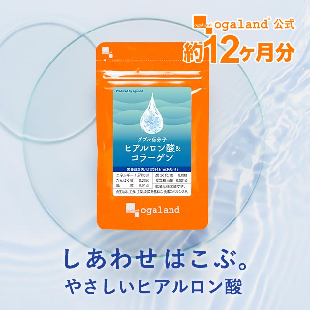 ◆大容量◆Ｗ低分子ヒアルロン酸＆コラーゲン（12ヶ月分）サプリメント 健康食品 美容 ヒアルロン コラーゲン 美容 化粧水と一緒に コラーゲンペプチド コラーゲンパウダー _JB _12K ポイント消化 19003