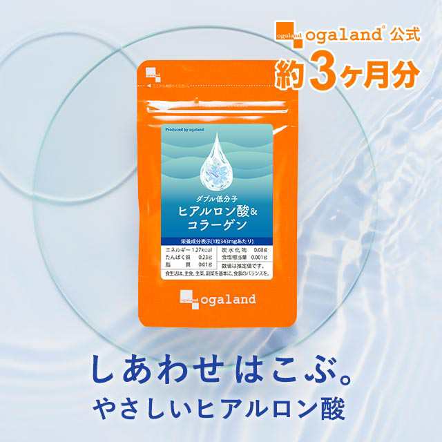 未開封 W低分子ヒアルロン酸 コラーゲン 毎日スキンケア 美容