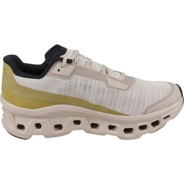 美品！『On Cloudmonster Void 7.5 シルバー／レンズ』 美品！『On Cloudmonster Void 7.5 シルバー／レンズ』 On オン