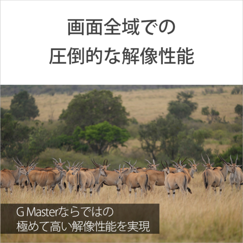 【長期保証付】ソニー(SONY) FE 300mm F2.8 GM OSS SEL300F28GM Eマウント用 フルサイズ 望遠単焦点レンズ